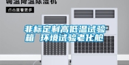 非标定制高低温试验箱 环境试验老化舱