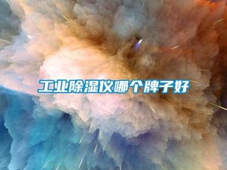 企业新闻工业除湿仪哪个牌子好