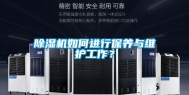 除湿机如何进行保养与维护工作？