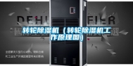 转轮除湿机（转轮除湿机工作原理图）