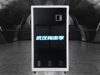 知识百科武汉梅雨季