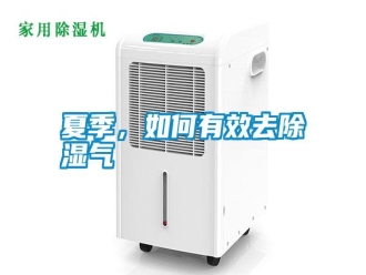 常见问题夏季，如何有效去除湿气