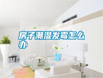 常见问题房子潮湿发霉怎么办