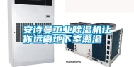 安诗曼工业除湿机让你远离地下室潮湿