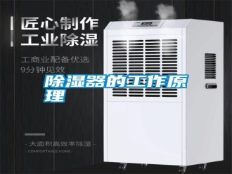 知识百科除湿器的工作原理