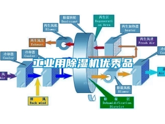 常见问题工业用除湿机优秀品