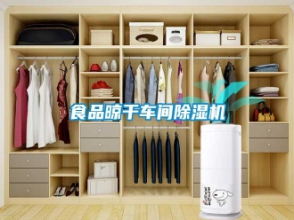 知识百科食品晾干车间除湿机