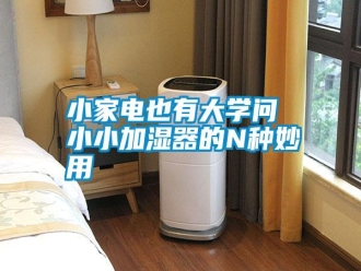 知识百科小家电也有大学问 小小加湿器的N种妙用