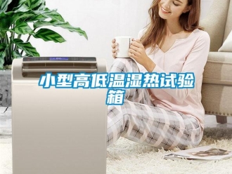 常见问题小型高低温湿热试验箱
