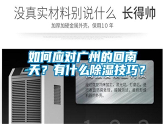 常见问题如何应对广州的回南天？有什么除湿技巧？