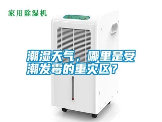 知识百科潮湿天气，哪里是受潮发霉的重灾区？