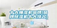 十大抽湿机品牌(品牌除湿机十大排名)