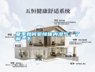 常见问题夏季如何驱除体内湿气，了解一下