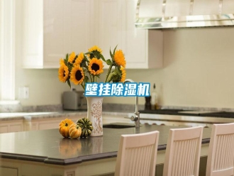 知识百科壁挂除湿机