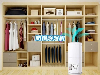 常见问题防爆除湿机