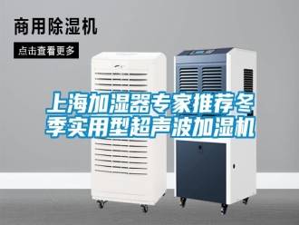 常见问题上海加湿器专家推荐冬季实用型超声波加湿机