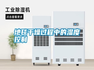 常见问题地毯干燥过程中的湿度控制
