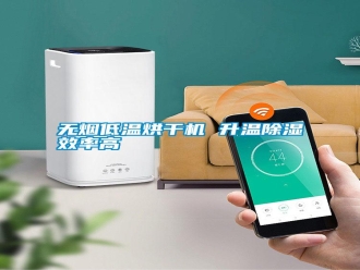 知识百科无烟低温烘干机 升温除湿效率高