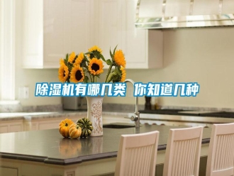常见问题除湿机有哪几类 你知道几种