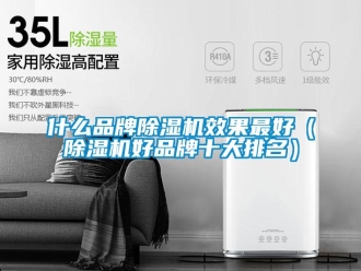 企业新闻什么品牌除湿机效果最好（除湿机好品牌十大排名）