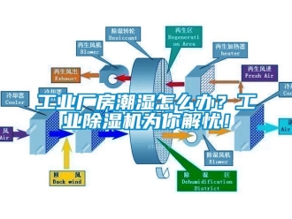 常见问题工业厂房潮湿怎么办？工业除湿机为你解忧！