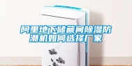 阿里地下储藏间除湿防潮机如何选择厂家