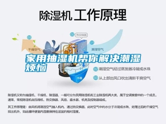 企业新闻家用抽湿机帮你解决潮湿烦恼