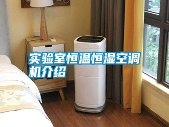 知识百科实验室恒温恒湿空调机介绍