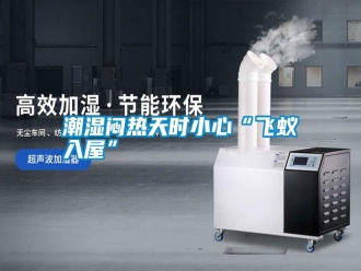 知识百科潮湿闷热天时小心“飞蚁入屋”