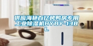 供应海艳百亿烤鸭房专用工业除湿机HYBY-138L