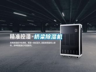知识百科桥梁除湿机