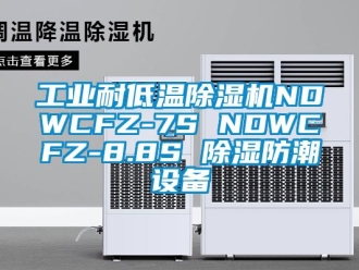 常见问题工业耐低温除湿机NDWCFZ-7S NDWCFZ-8.8S 除湿防潮设备