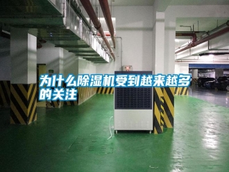 常见问题为什么除湿机受到越来越多的关注