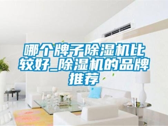 企业新闻哪个牌子除湿机比较好_除湿机的品牌推荐