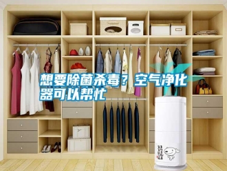 知识百科想要除菌杀毒？空气净化器可以帮忙