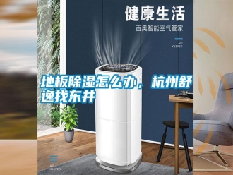 常见问题地板除湿怎么办，杭州舒逸找东井