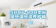 SHBY-40B型标准恒温恒湿养护箱