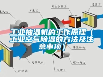 常见问题工业抽湿机的工作原理（工业空气除湿的方法及注意事项）