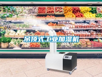 企业新闻吊顶式工业加湿机