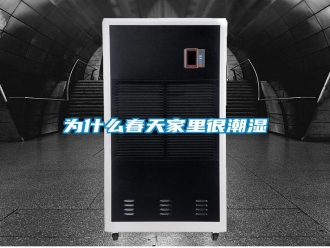 常见问题为什么春天家里很潮湿