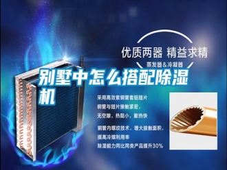 行业新闻别墅中怎么搭配除湿机