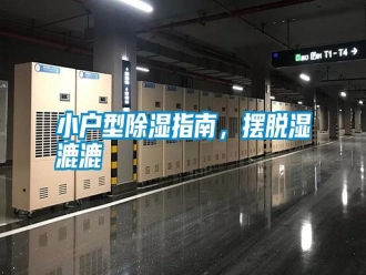 知识百科小户型除湿指南，摆脱湿漉漉