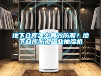 企业新闻地下仓库怎么有效防潮？地下仓库防潮工业抽湿机