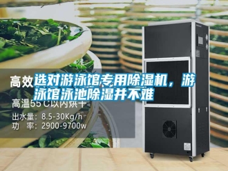 常见问题选对游泳馆专用除湿机，游泳馆泳池除湿并不难