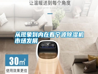 知识百科从现象到内在看宁波除湿机市场发展