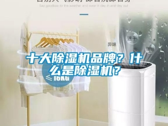 企业新闻十大除湿机品牌？什么是除湿机？