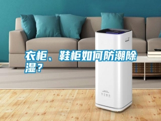常见问题衣柜、鞋柜如何防潮除湿？