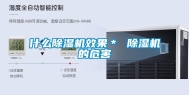 什么除湿机效果＊ 除湿机的危害