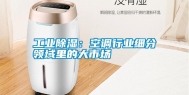 工业除湿：空调行业细分领域里的大市场