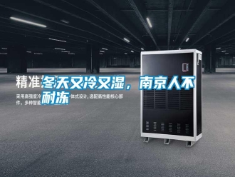 行业新闻冬天又冷又湿，南京人不耐冻
